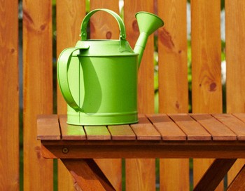 Как прожить на дачном участке. Фото с сайта  www.asienda.ru