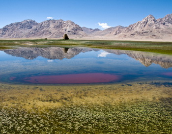 Фото: Getty Images