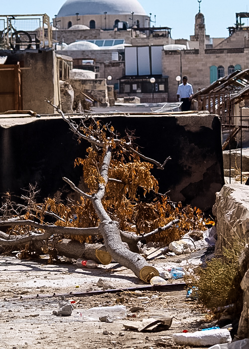 По крышам Старого города. Фото: Хава Тор/Великая Эпоха (The Epoch Times) По крышам Старого города. Фото: Хава Тор/Великая Эпоха (The Epoch Times)