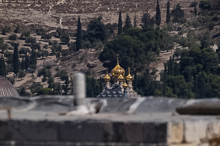 По крышам Старого города. Виднеются золотые купола Собора Марии Магдалины. Фото: Хава Тор/Великая Эпоха (The Epoch Times) По крышам Старого города. Виднеются золотые купола Собора Марии Магдалины. Фото: Хава Тор/Великая Эпоха (The Epoch Times)