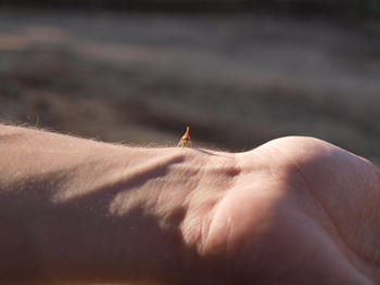 Смысл жизни, в чем он? Фото: Хава ТОР/Великая Эпоха