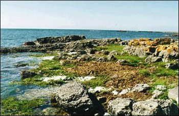 Эстонские здравницы на Сааремаа