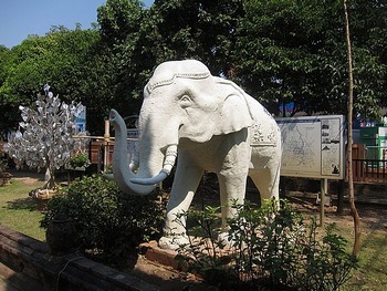 Белый слон. Тайланд. Фото с сайта blog.travelpod.com Белый слон. Тайланд. Фото с сайта blog.travelpod.com