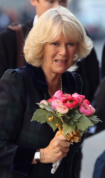 Камилла, герцогиня Корнуэльсская в  Клэренс Хаусе в ожидании жениха и невесты. Фото: Dan Kitwood/Getty Images