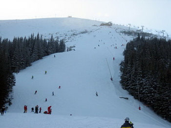 Фото: Алексей Васьковский  