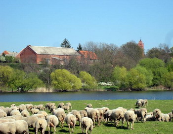 Пригнитц - это сельская идиллия, полная чудес. Фото с сайта epochtimes.de
