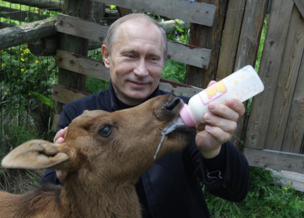 Владимир Путин в национальном парке «Лосиный остров». Фото: ALEXEY DRUZHININ/AFP/Getty Images
