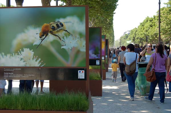 23 мая - День Зеленого дня в Париже. Фото: Наталья Орьен/Великая Эпоха 23 мая - День Зеленого дня в Париже. Фото: Наталья Орьен/Великая Эпоха