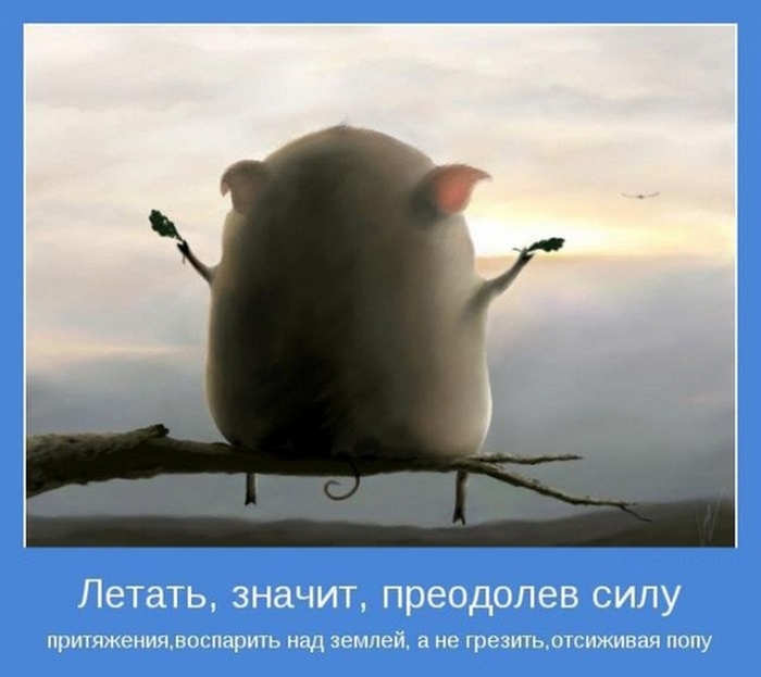  Мотиваторы выходного дня. Фото с сайта subscribe.ru