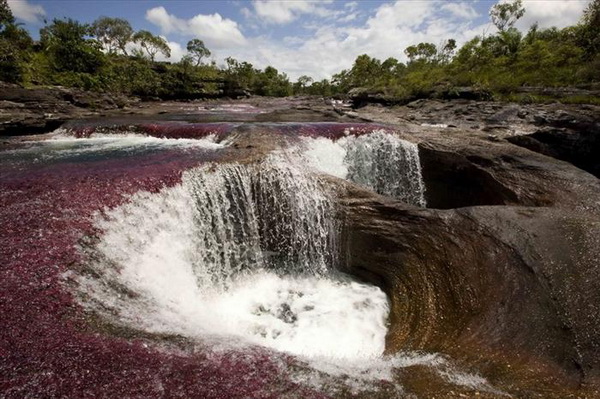Пятицветная река. Фото с сайта ba-bamail.co.il