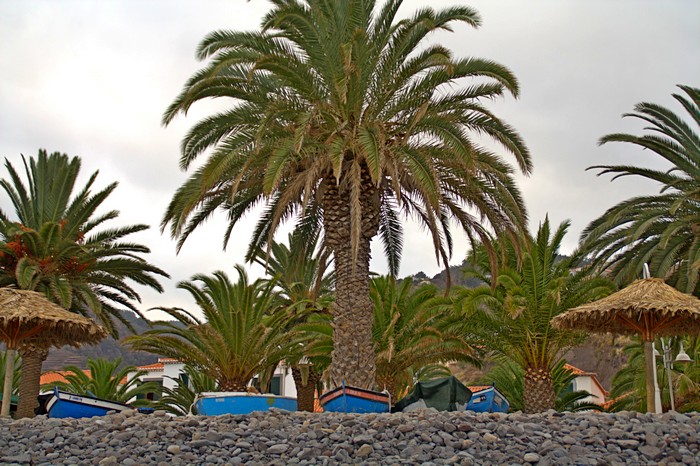 Набережная в Санта-Крузе. Мадейра. Фото: Сима Петрова/Великая Эпоха (The Epoch Times) Набережная в Санта-Крузе. Мадейра. Фото: Сима Петрова/Великая Эпоха (The Epoch Times)