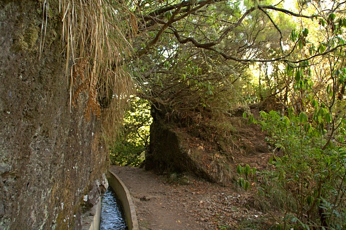 Оросительные левады, транспортирующие воду с дождливого севера острова в субтропики юга. Мадейра. Фото: Сима Петрова/Великая Эпоха (The Epoch Times) Оросительные левады, транспортирующие воду с дождливого севера острова в субтропики юга. Мадейра. Фото: Сима Петрова/Великая Эпоха (The Epoch Times)