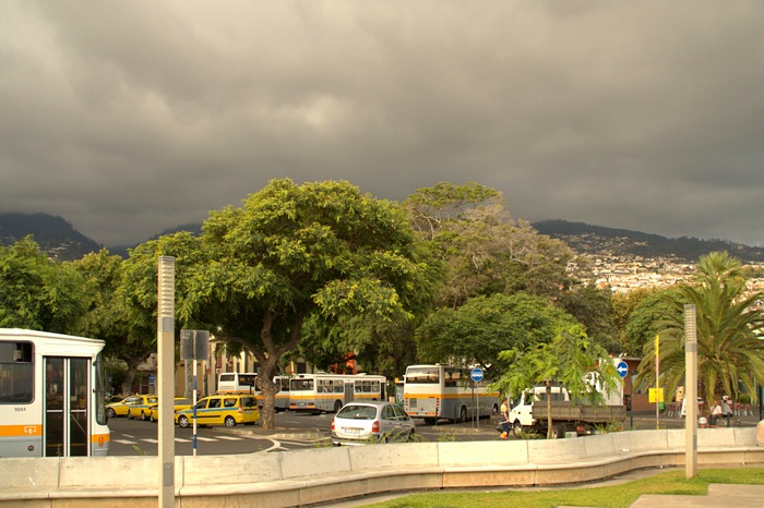 Фуншал. Мадейра. Фото: Сима Петрова/Великая Эпоха (The Epoch Times) Фуншал. Мадейра. Фото: Сима Петрова/Великая Эпоха (The Epoch Times)