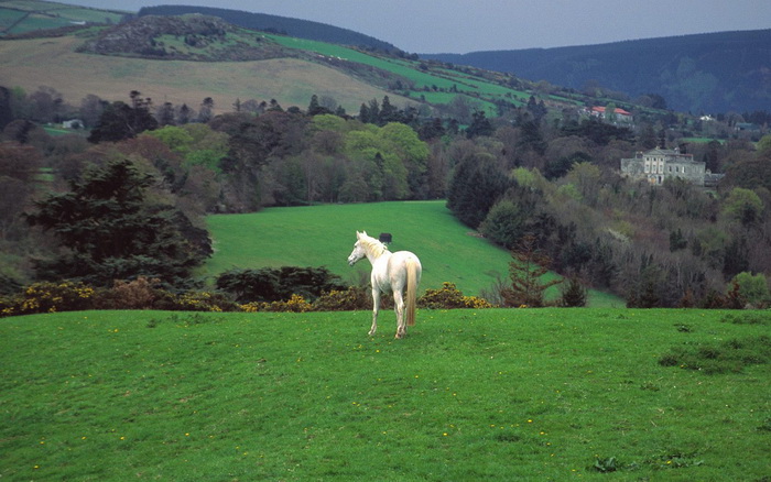 Ирландская виза - легко. Фото с thewallpapers.org