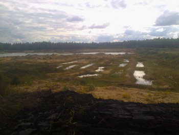 Незаконный банно-оздоровительный комплекс вместо законного пруда. Фото с сайта 