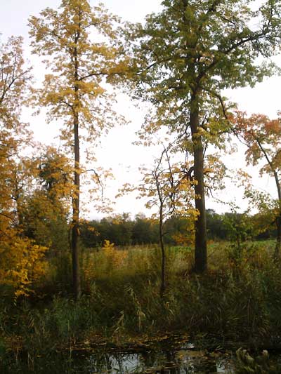 Путешествие по "Малой Швейцарии"