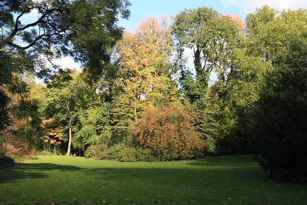 Осень в городском парке. Гельзенкирхен. Германия. Фото: Сима Петрова/Великая Эпоха Осень в городском парке. Гельзенкирхен. Германия. Фото: Сима Петрова/Великая Эпоха