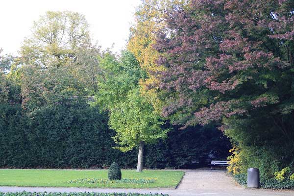 Осень в городском парке. Гельзенкирхен. Германия. Фото: Сима Петрова/Великая Эпоха Осень в городском парке. Гельзенкирхен. Германия. Фото: Сима Петрова/Великая Эпоха