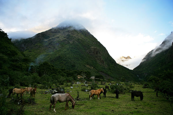 Путешествие по Андам в Перу . Фото: Brendon Thorne/Getty Images