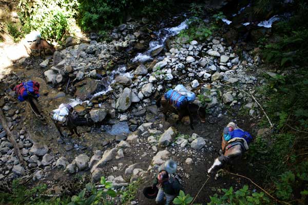 Путешествие по Андам в Перу . Фото: Brendon Thorne/Getty Images