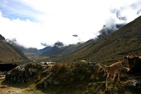 Путешествие по Андам в Перу . Фото: Brendon Thorne/Getty Images