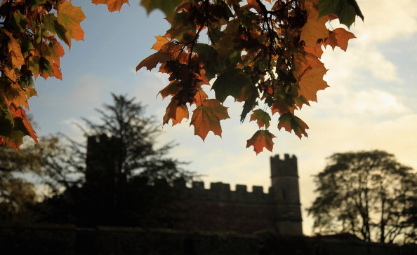 Фото: Matt Cardy/Getty Images