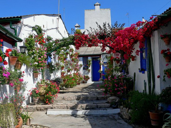 Фестиваль цветов в Кордове. Фото с сайта animalworld.com.ua