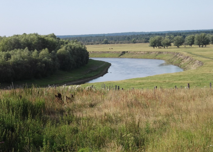 Фото: Людмила Сосновская/Великая Эпоха (The Epoch Times)