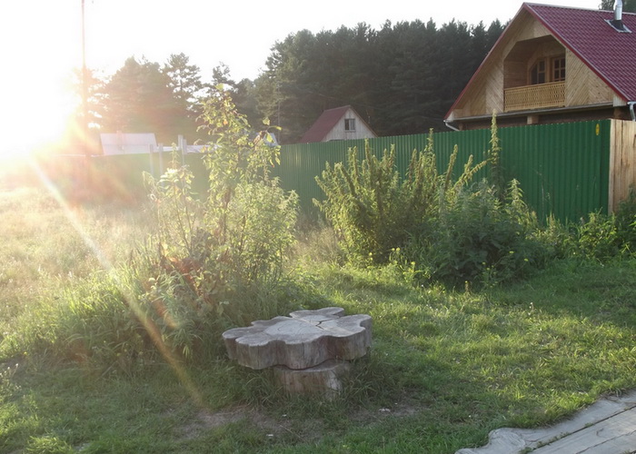 Фото: Людмила Сосновская/Великая Эпоха (The Epoch Times)