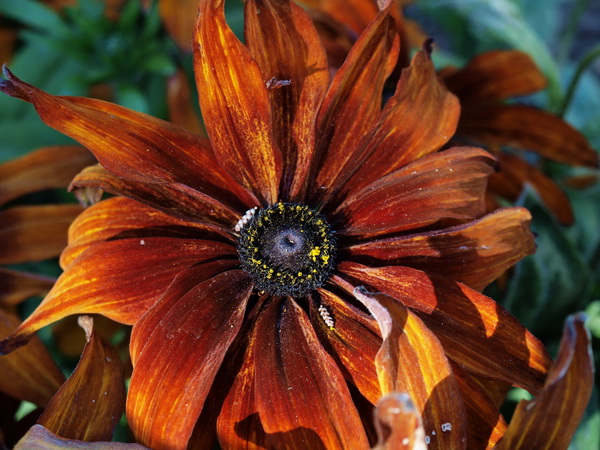 Отдохновение. Фото: Хава ТОР/Великая Эпоха