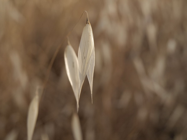 Отдохновение. Фото: Хава ТОР/Великая Эпоха