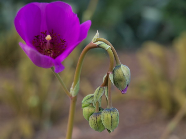 Отдохновение. Фото: Хава ТОР/Великая Эпоха