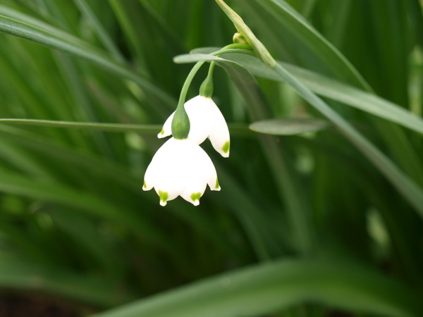 Отдохновение. Фото: Хава ТОР/Великая Эпоха