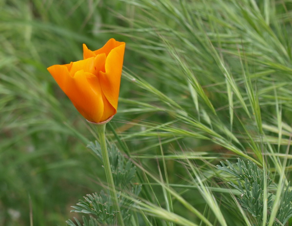 Отдохновение. Фото: Хава ТОР/Великая Эпоха