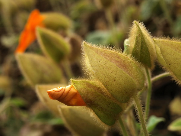 Отдохновение. Фото: Хава ТОР/Великая Эпоха