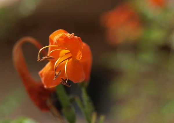 Отдохновение. Фото: Хава ТОР/Великая Эпоха