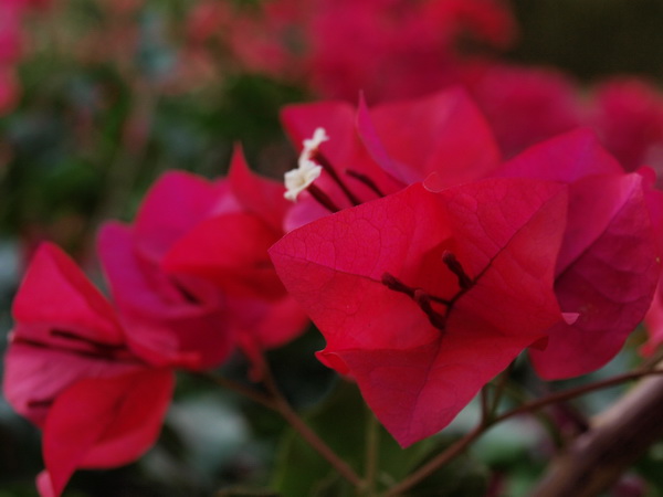 Отдохновение. Фото: Хава ТОР/Великая Эпоха