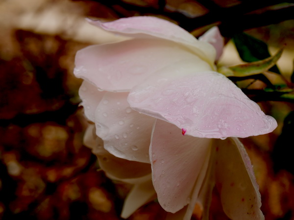 Отдохновение. Фото: Хава ТОР/Великая Эпоха