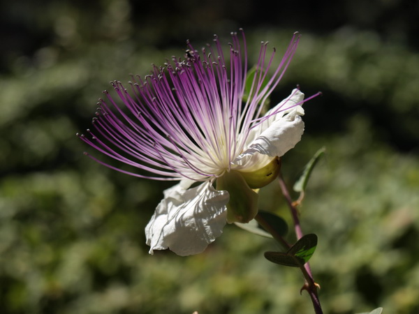 Отдохновение. Фото: Хава ТОР/Великая Эпоха