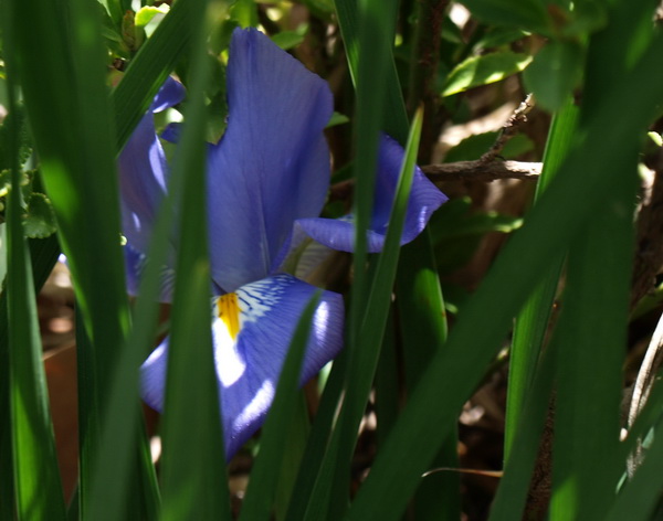 Отдохновение. Фото: Хава ТОР/Великая Эпоха