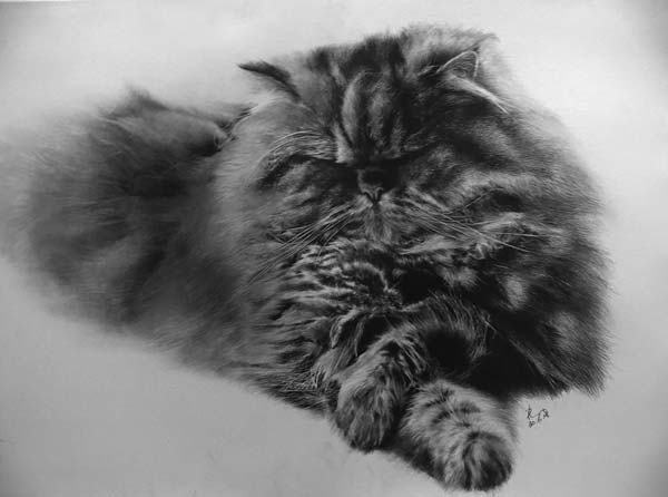 Животные в графике  Пола Лунга. Фото: animalworld.com.ua