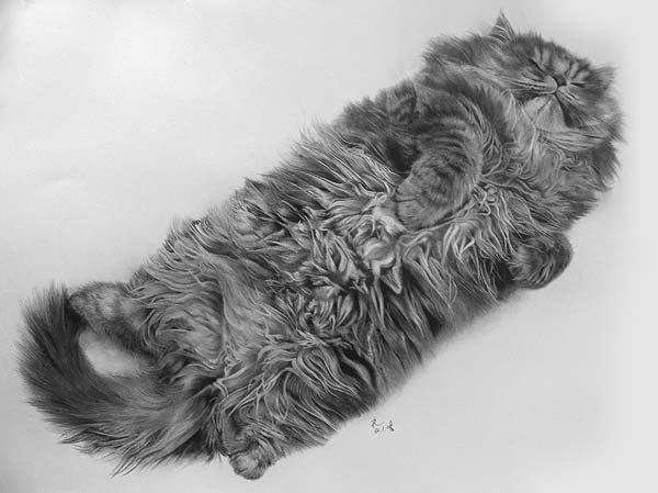 Животные в графике  Пола Лунга. Фото: animalworld.com.ua