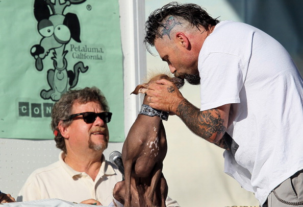 Фоторепортаж о конкурсе  «Самая уродливая собака в мире». Фото: Justin Sullivan/Getty Images