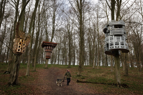 Инновационные скворечники в Лондоне. Фото: Dan Kitwood/Getty Images 