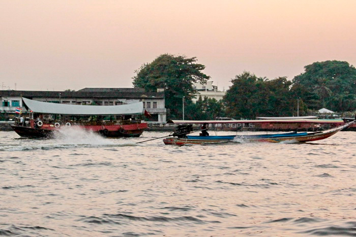 Речная длиннохвостка. Фото: Николай Карпов/Великая Эпоха (The Epoch Times)