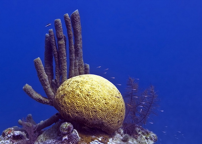 Фото с сайта theepochtimes.com