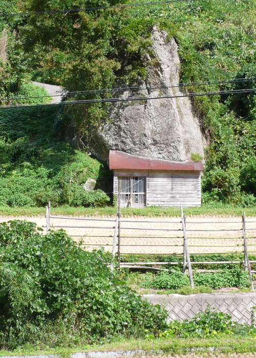 Фото: Cindy Drukier/Великая Эпоха( The Epoch Times) 