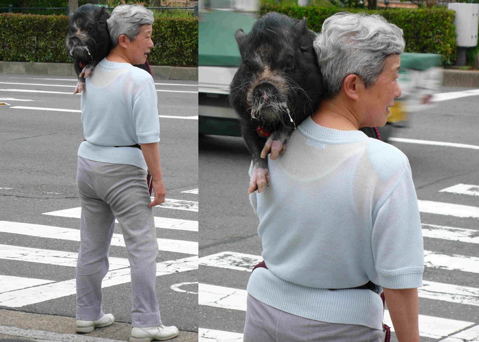 Фото: Cindy Drukier/Великая Эпоха( The Epoch Times) 