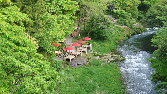 Фото: Cindy Drukier/Великая Эпоха( The Epoch Times) 