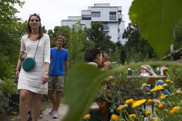 Общественный сад Берлина Prachttomate. 10 августа 2013 года. Фото: Carsten Koall/Getty Images Общественный сад Берлина Prachttomate. 10 августа 2013 года. Фото: Carsten Koall/Getty Images